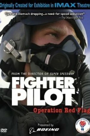 Постер к фильму Боевые пилоты: Операция «Красный флаг» (2004)