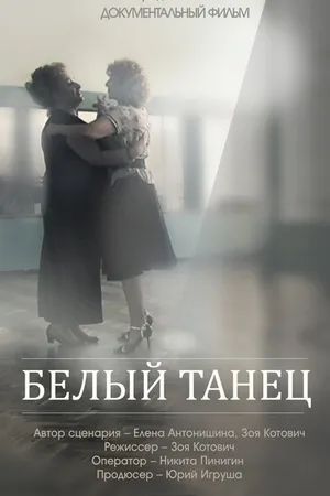 Постер к фильму Белый танец (2013)