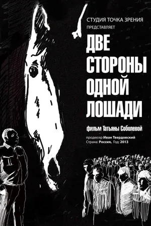 Постер к фильму Две стороны одной лошади (2013)