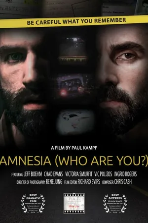 Постер к фильму Amnesia: Who Are You? (2014)