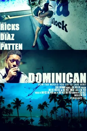 Постер к фильму Dominican (2012)