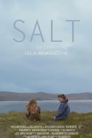 Постер к фильму Salt (2014)