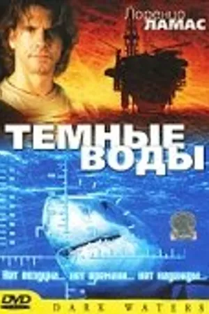 Постер к фильму Темные воды (2003)