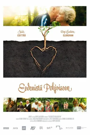 Постер к фильму К северу от рая (2014)