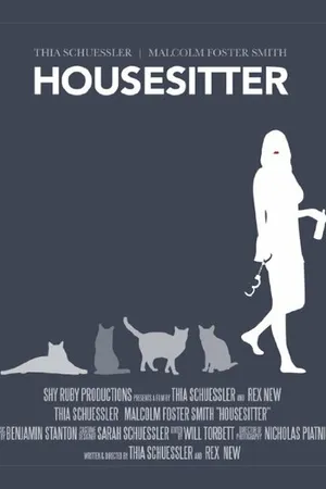 Постер к фильму Housesitter (2013)