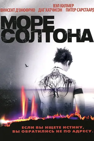 Постер к фильму Море Солтона (2001)