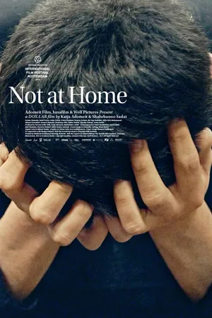 Постер к фильму Not at Home (2013)