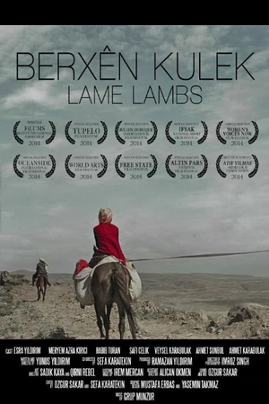 Постер к фильму Berxen Kulek (2014)
