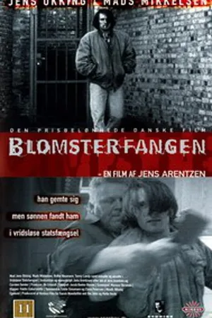 Постер к фильму Цветы заключённого (1996)