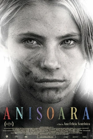 Постер к фильму Анишоара (2016)