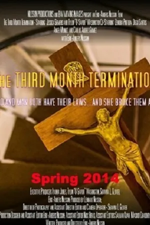 Постер к фильму The Third Month Termination (2014)