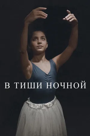 Постер к фильму В тиши ночной (2014)