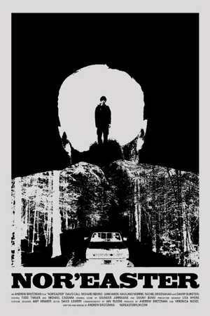 Постер к фильму Норд-истер (2012)
