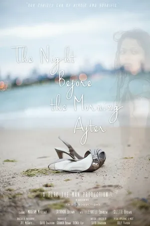 Постер к фильму The Night Before the Morning After (2013)