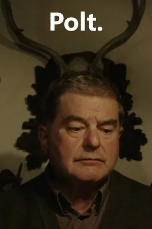 Постер к фильму Polt (2013)