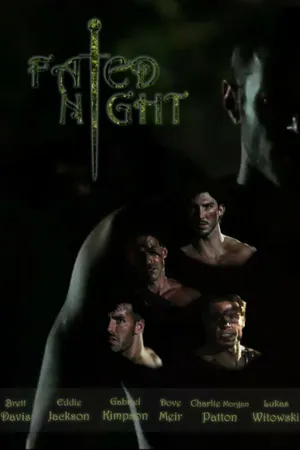 Постер к фильму Fated Night (2013)