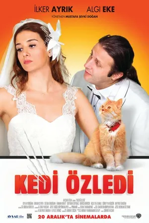 Постер к фильму Кошки были пропущены (2013)