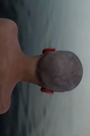 Постер к фильму Такой пейзаж (2013)