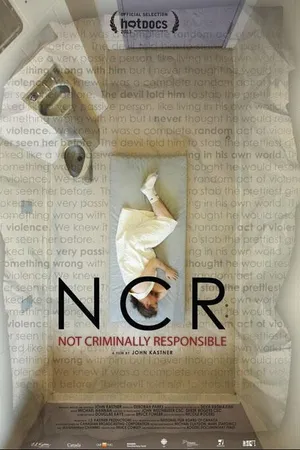 Постер к фильму NCR: Не несёт уголовной ответственности (2013)