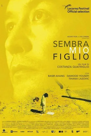 Постер к фильму Sembra mio figlio (2018)