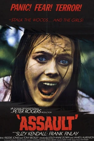 Постер к фильму Нападение (1971)