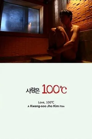 Постер к фильму Стоградусная любовь (2010)