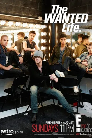 Постер к сериалу The Wanted: Секреты успеха (2013)