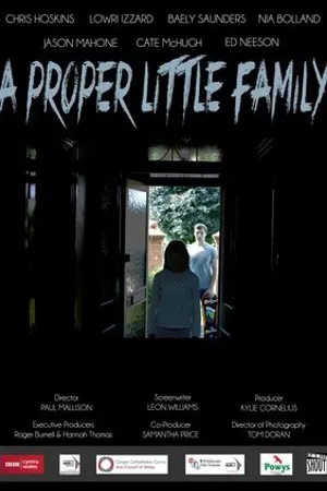 Постер к фильму A Proper Little Family (2013)