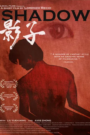 Постер к фильму Тень (2014)
