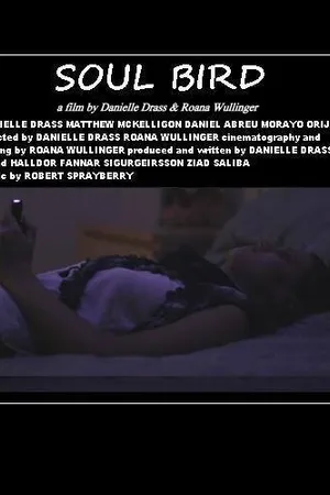 Постер к фильму Soul Bird (2014)