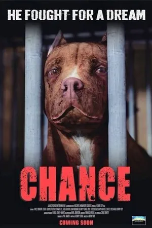 Постер к мультфильму Chance (2019)