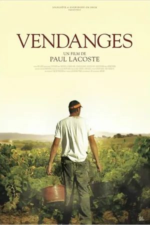 Постер к фильму Vendanges (2014)