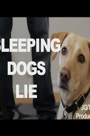 Постер к фильму Sleeping Dogs Lie (2014)