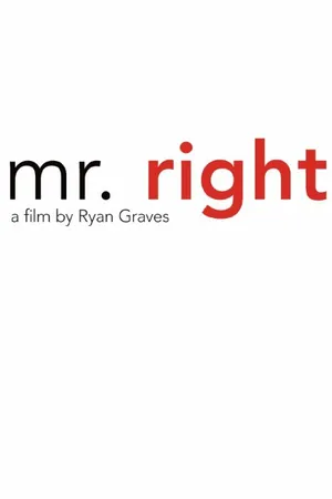 Постер к фильму Mr. Right (2014)