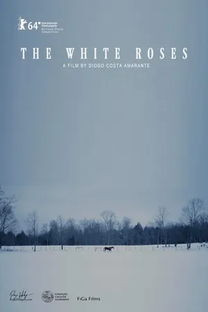 Постер к фильму As Rosas Brancas (2014)