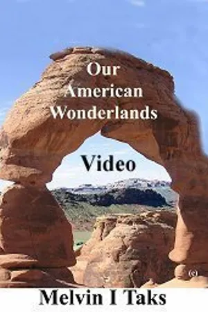 Постер к фильму Video (2006)