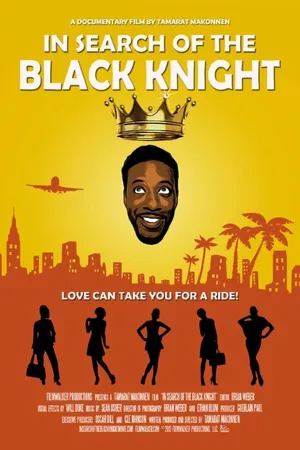 Постер к фильму In Search of the Black Knight (2013)