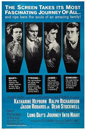 Постер к фильму Долгий день уходит в ночь (1962)
