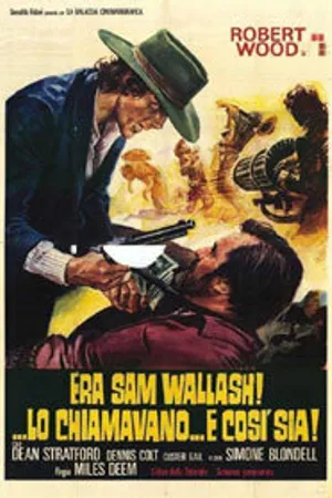 Постер к фильму Зовите меня Сэм Уолш (1971)