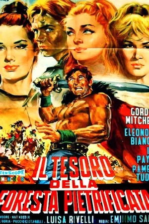 Постер к фильму Сокровища Каменного леса (1965)