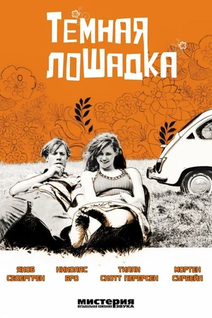 Постер к фильму Темная лошадка (2005)
