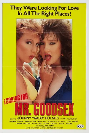 Постер к фильму В поисках мистера Гудсекса (1985)