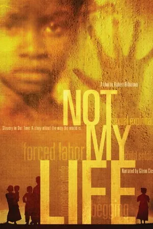 Постер к фильму Not My Life (2011)