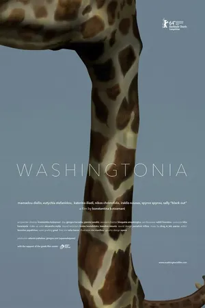 Постер к фильму Washingtonia (2014)