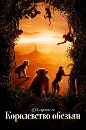 Постер к фильму Королевство обезьян (2015)