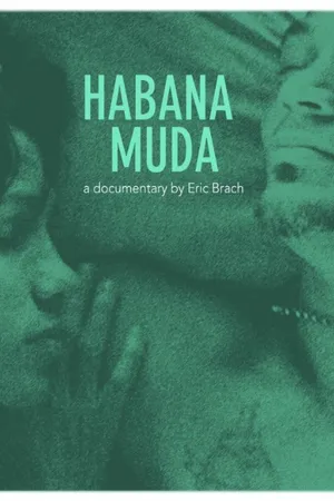 Постер к фильму Немая Гавана (2011)