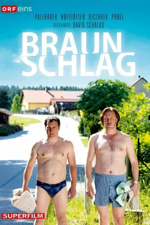 Постер к сериалу Брауншлаг (2012)