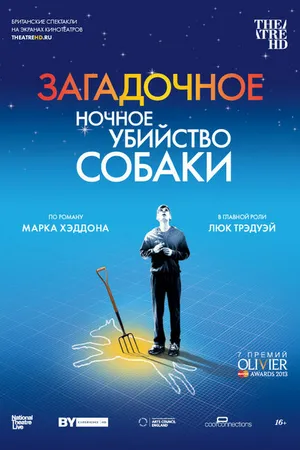 Постер к фильму Загадочное ночное убийство собаки (2012)