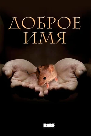 Постер к сериалу Доброе имя (2014)