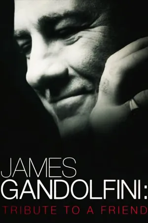 Постер к фильму James Gandolfini: Tribute to a Friend (2013)